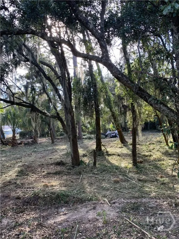 McKenzie Avenue Tybee Island, GA 31328