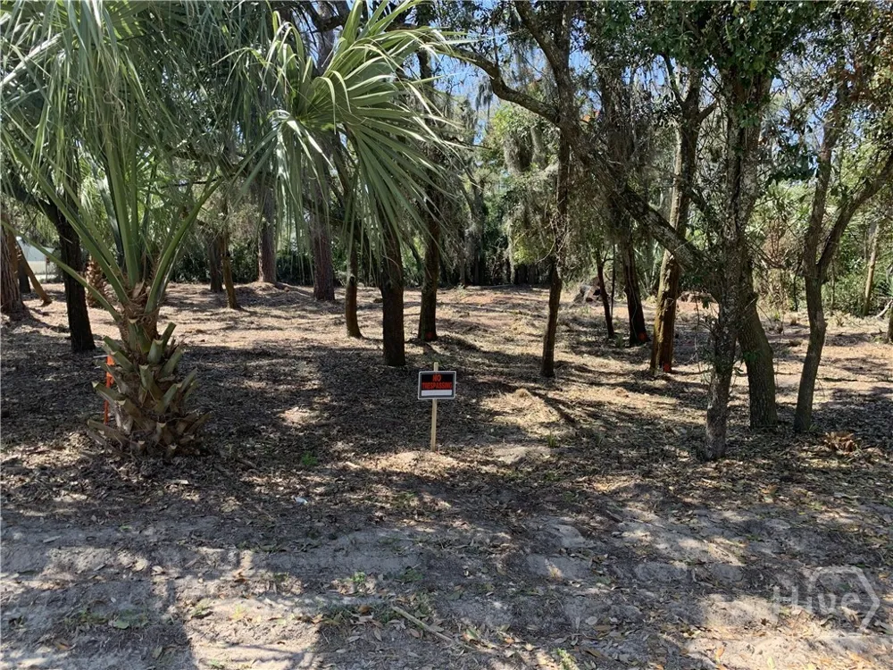 McKenzie Avenue Tybee Island, GA 31328
