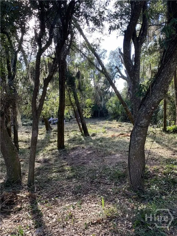 McKenzie Avenue Tybee Island, GA 31328