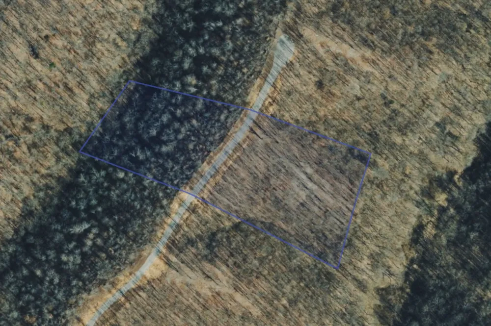 322 Briarwood Dr Linden, TN 37096