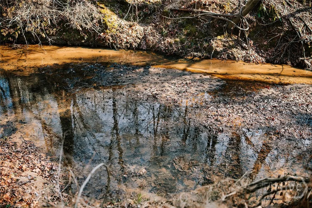Lovers Lane Stephens, GA 30667