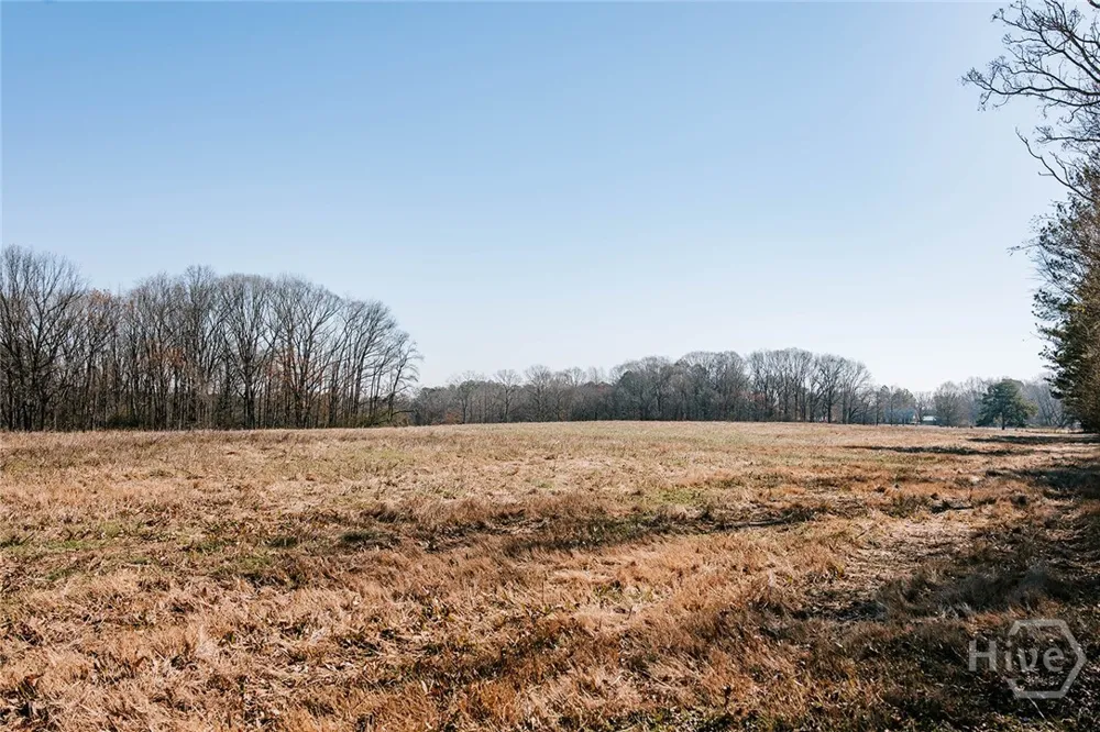 Lovers Lane Stephens, GA 30667
