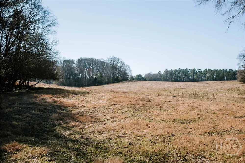 Lovers Lane Stephens, GA 30667