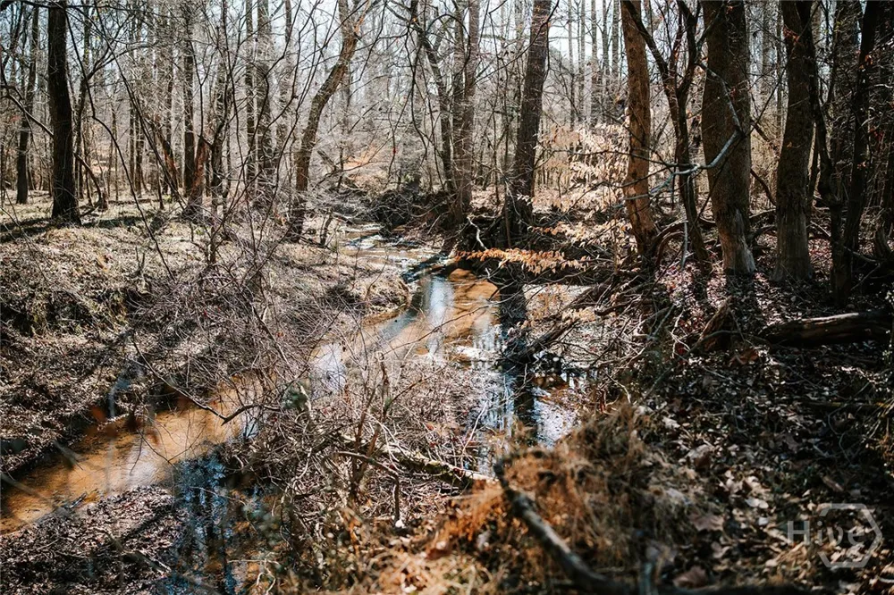 Lovers Lane Stephens, GA 30667