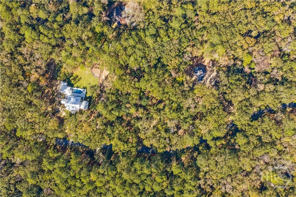 217 McAllister Landing Richmond Hill, GA 31324