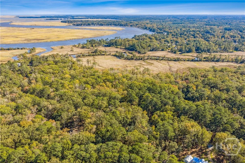 217 McAllister Landing Richmond Hill, GA 31324