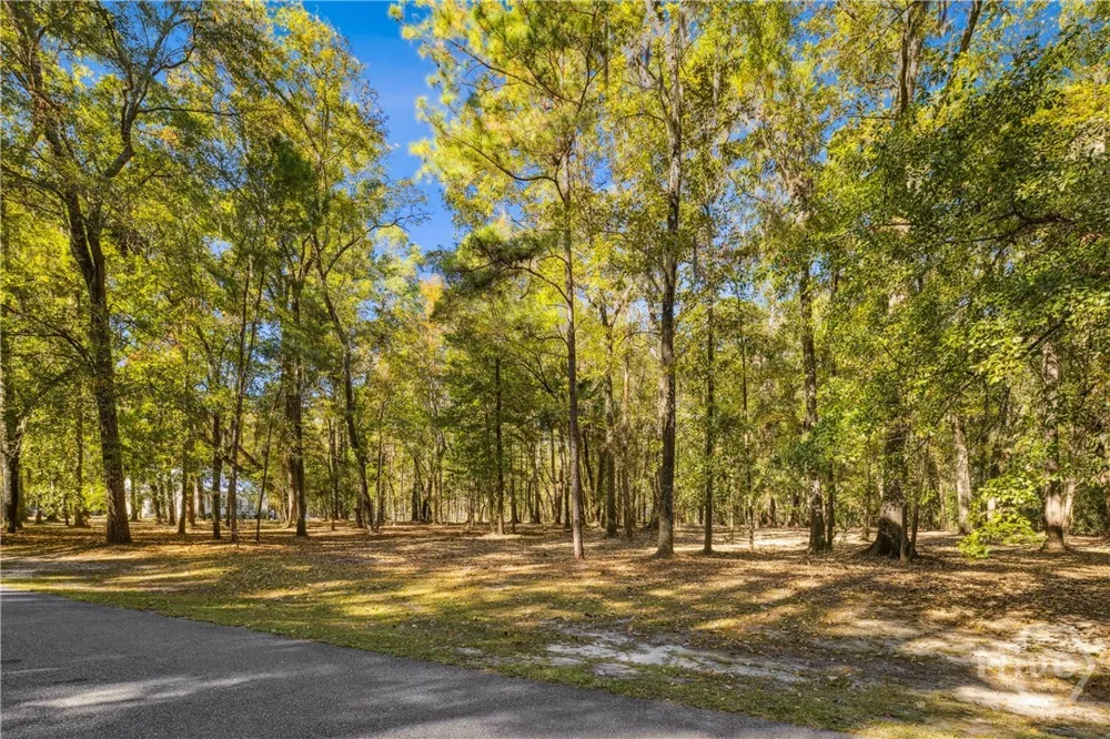 217 McAllister Landing Richmond Hill, GA 31324