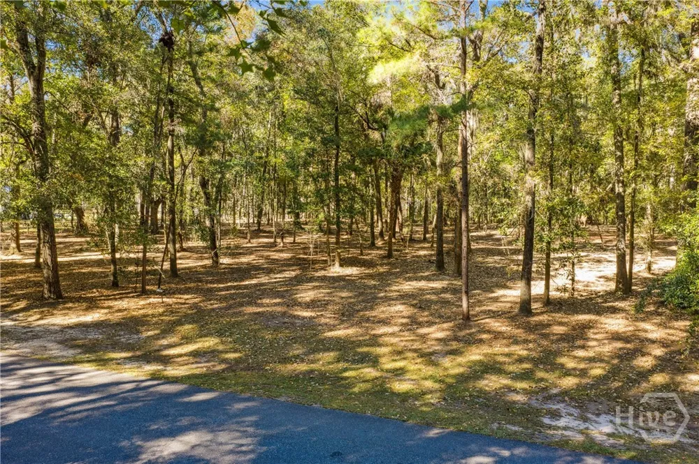 217 McAllister Landing Richmond Hill, GA 31324