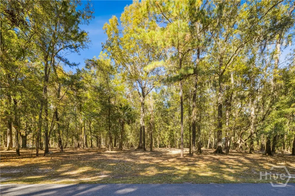 217 McAllister Landing Richmond Hill, GA 31324