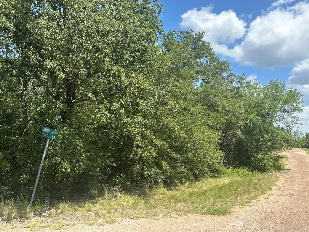 Shady Oak Street Somerville, TX 77879