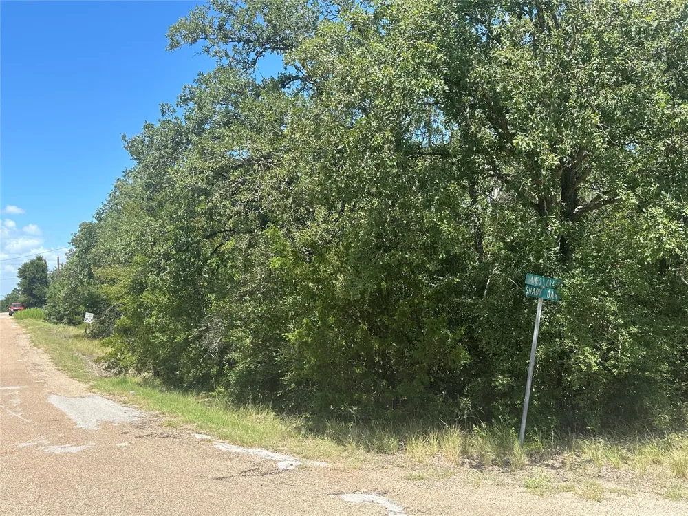 Shady Oak Street Somerville, TX 77879