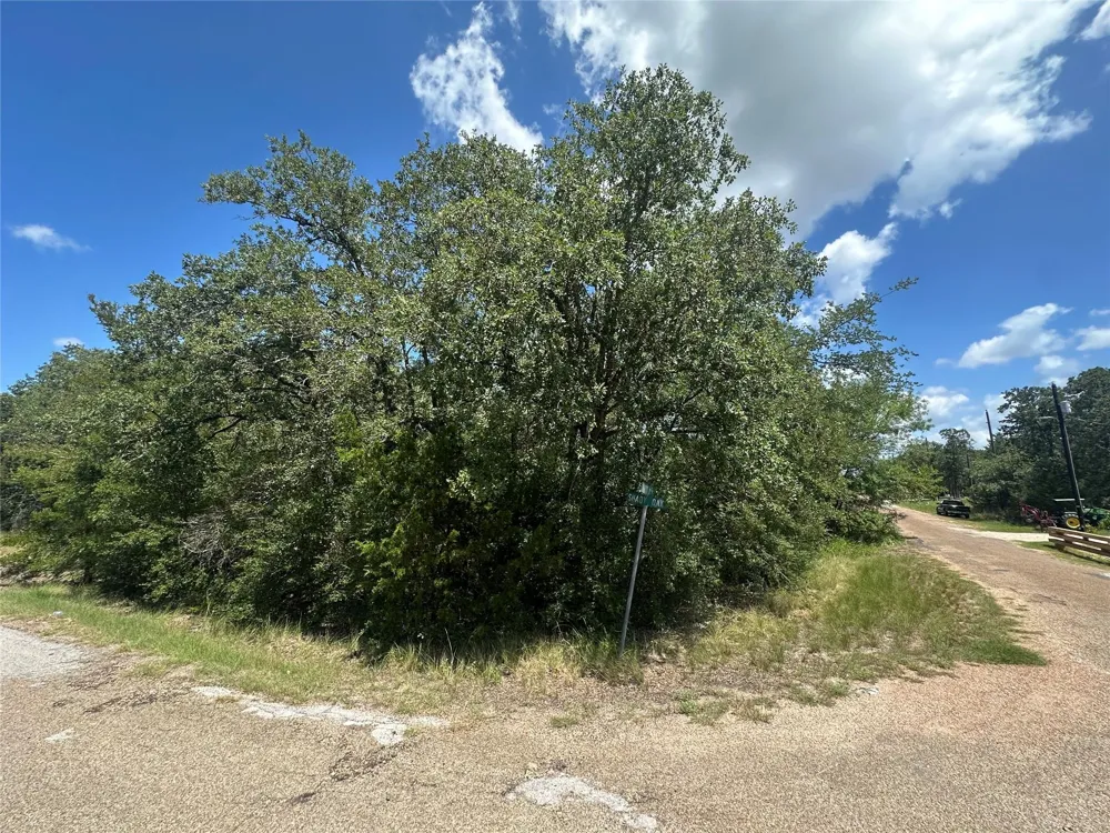 Shady Oak Street Somerville, TX 77879