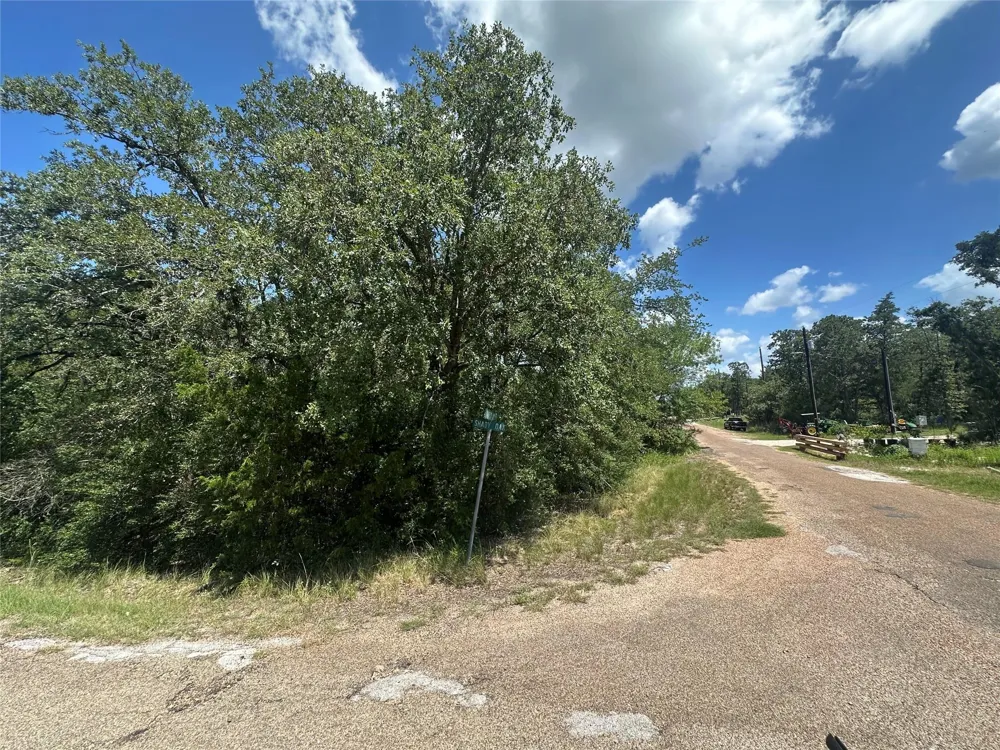 Shady Oak Street Somerville, TX 77879