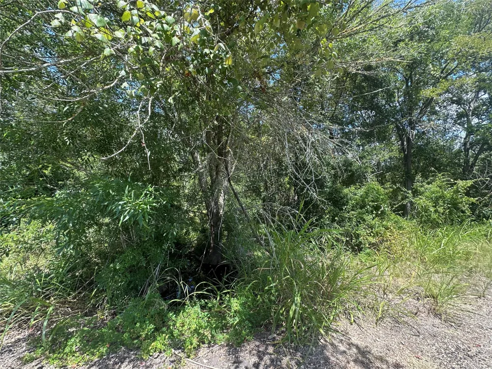 Shady Oak Street Somerville, TX 77879