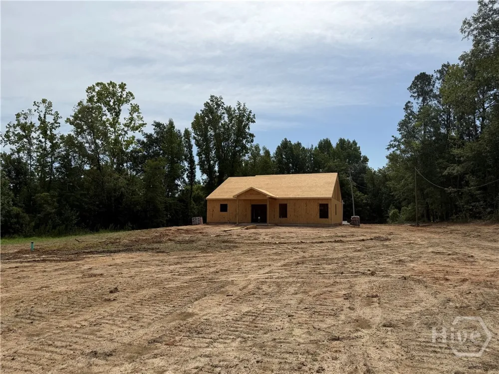 125 Friendship Road Sylvania, GA 30467