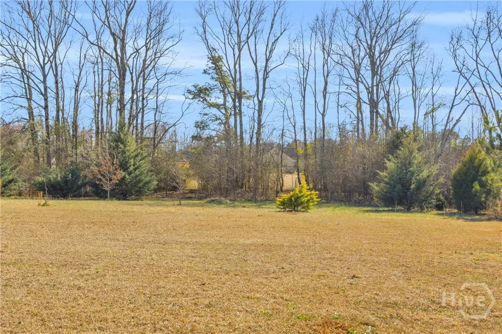 226 History Trail Winterville, GA 30683