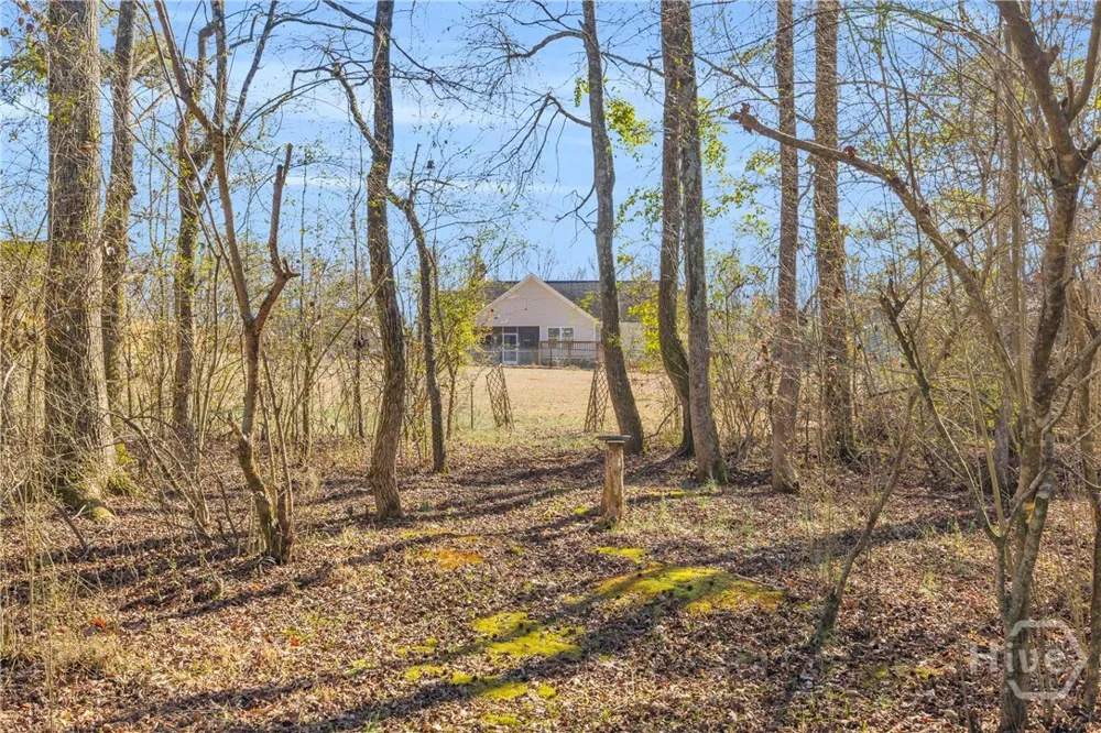 226 History Trail Winterville, GA 30683