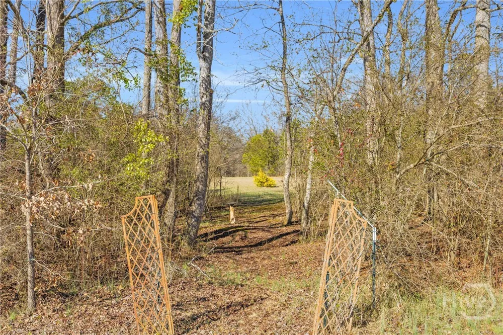 226 History Trail Winterville, GA 30683