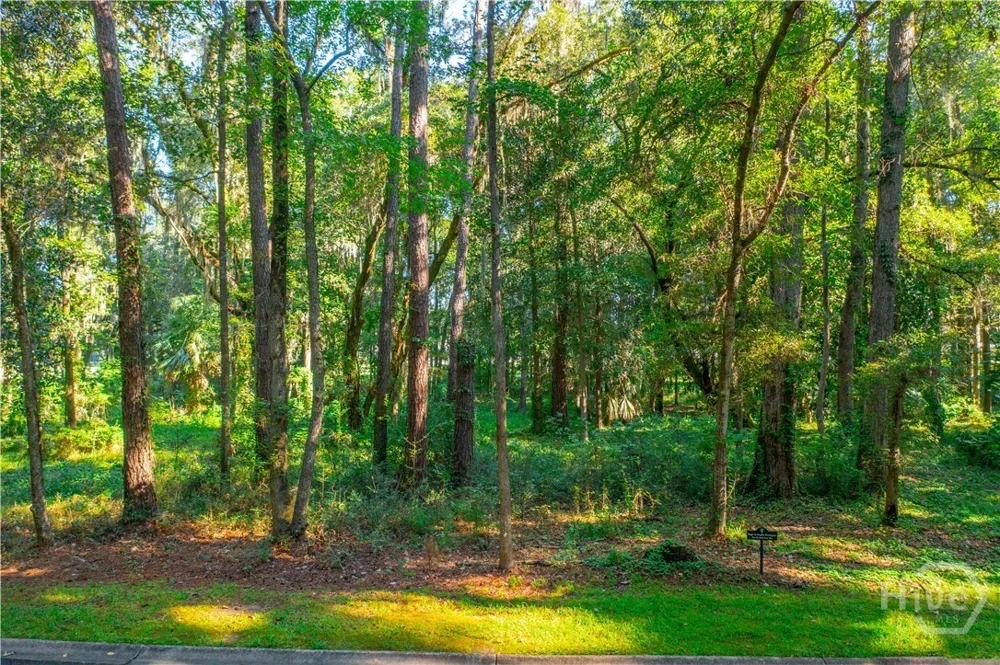 89 Jimmy Blige Lane Richmond Hill, GA 31324