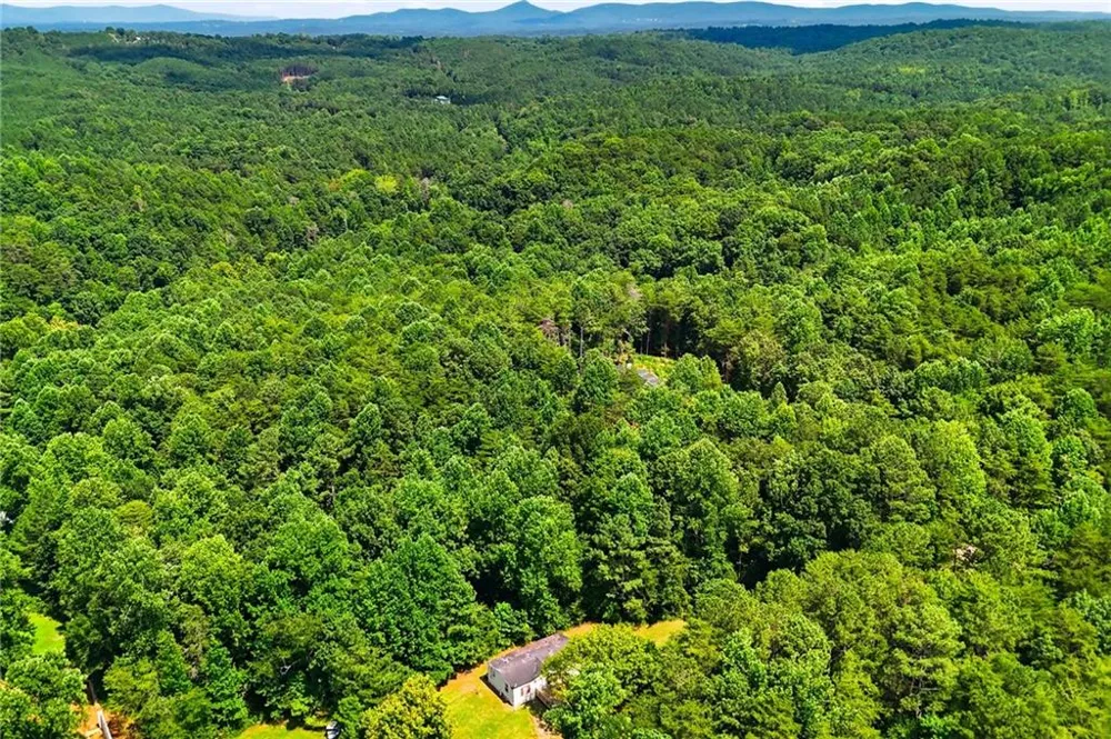 1310 Davis Road W Fairmount, GA 30139