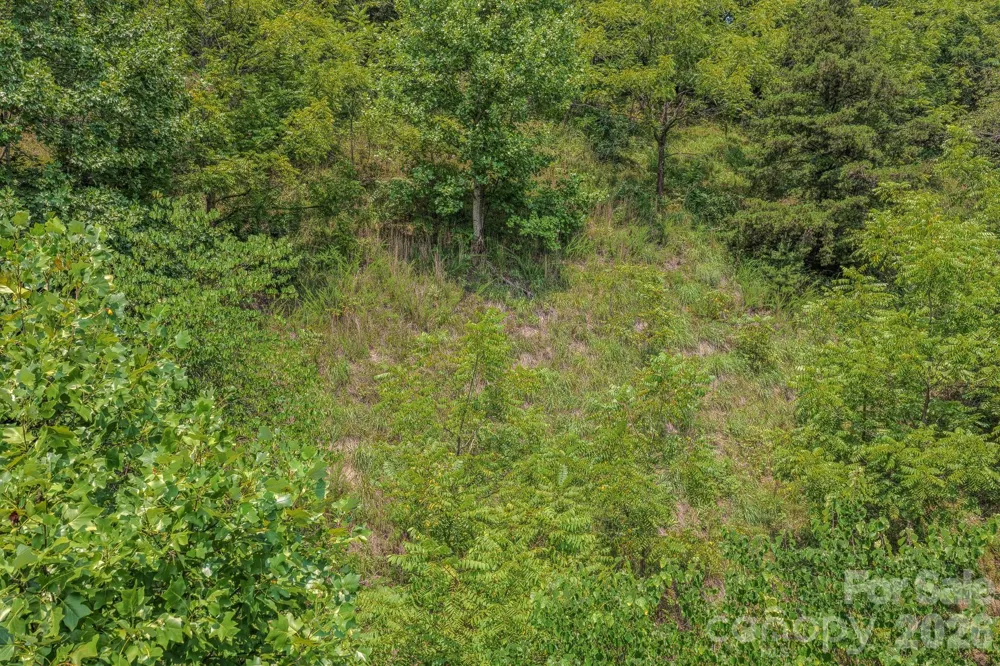 130 Old Candler Town Road Candler, NC 28715