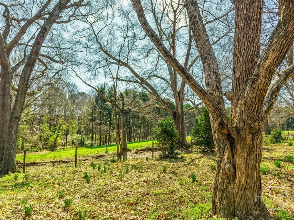1800 Simonton Bridge Road Watkinsville, GA 30677