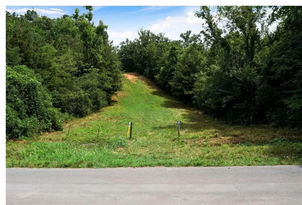 0 Hanes Road Oakman, GA 30732