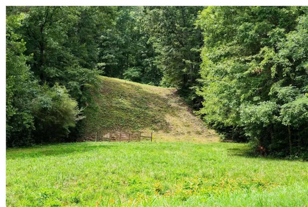 0 Hanes Road Oakman, GA 30732
