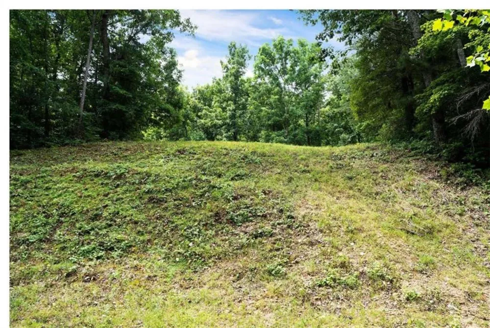0 Hanes Road Oakman, GA 30732