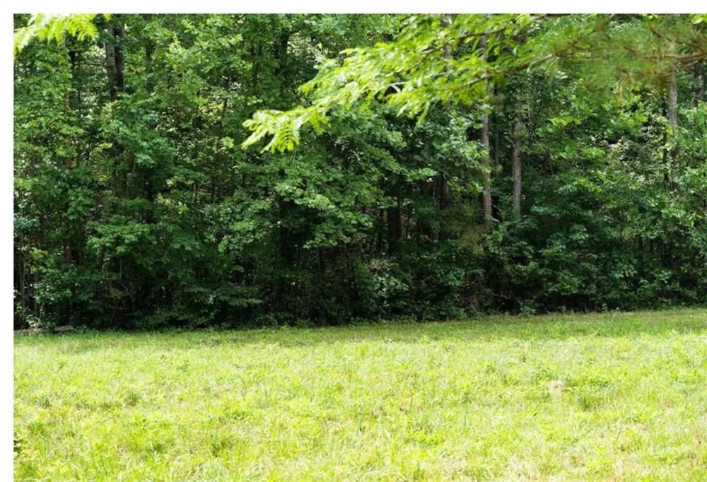 0 Hanes Road Oakman, GA 30732