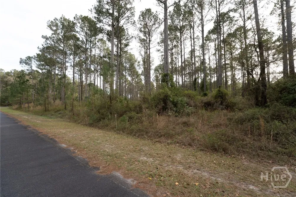 Marsh Way NE Townsend, GA 31331