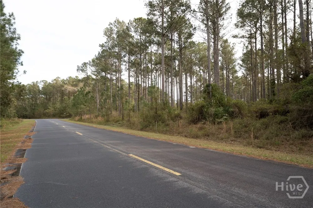 Marsh Way NE Townsend, GA 31331