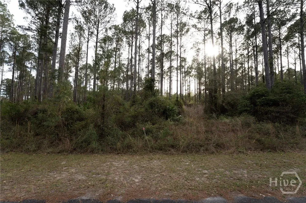 Marsh Way NE Townsend, GA 31331