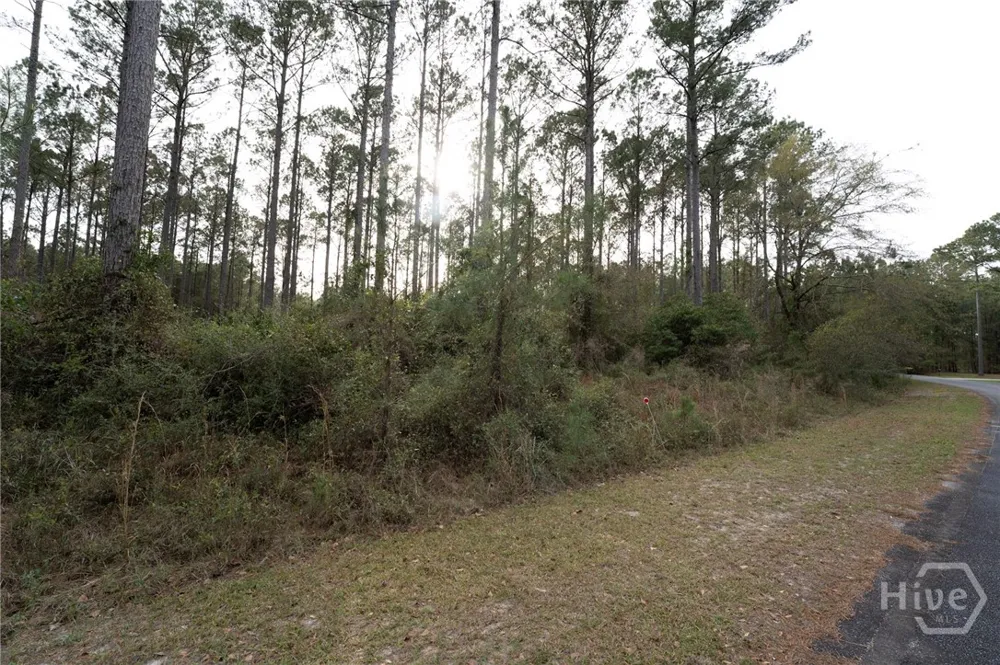 Marsh Way NE Townsend, GA 31331