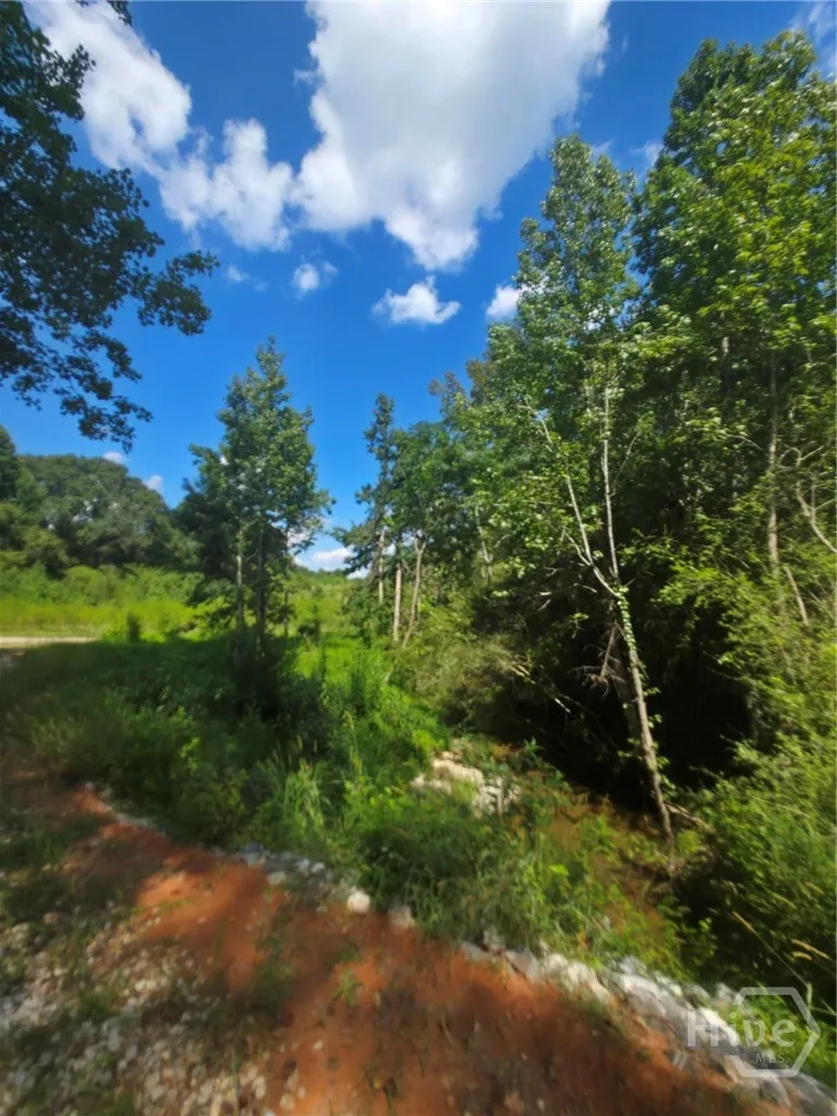 80 Charlotte Circle Statham, GA 30666