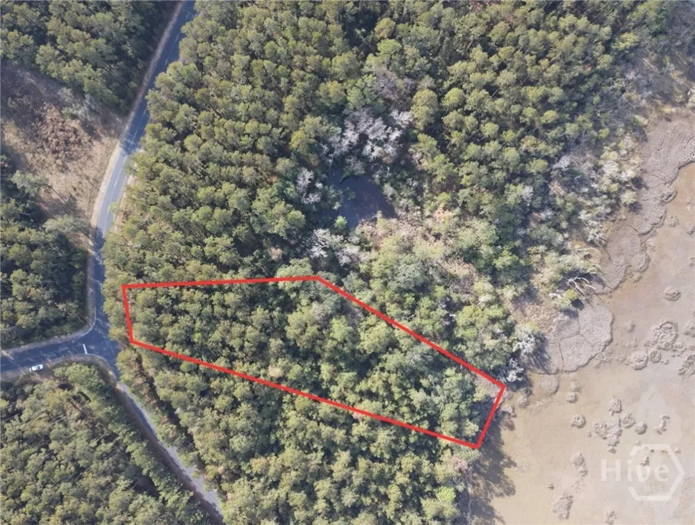 45 NE Marsh Way W Townsend, GA 31331