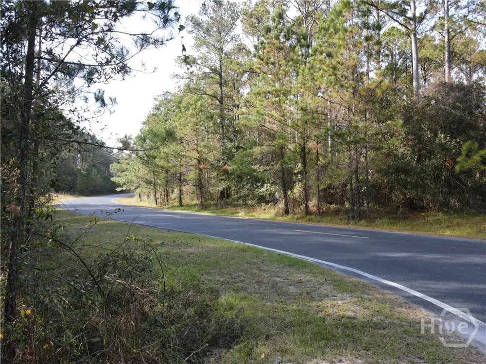 45 NE Marsh Way W Townsend, GA 31331