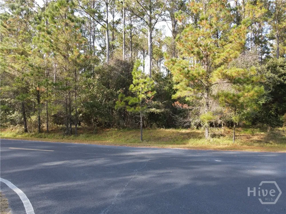 45 NE Marsh Way W Townsend, GA 31331