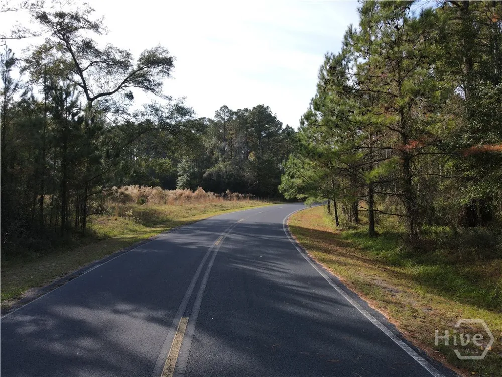 45 NE Marsh Way W Townsend, GA 31331