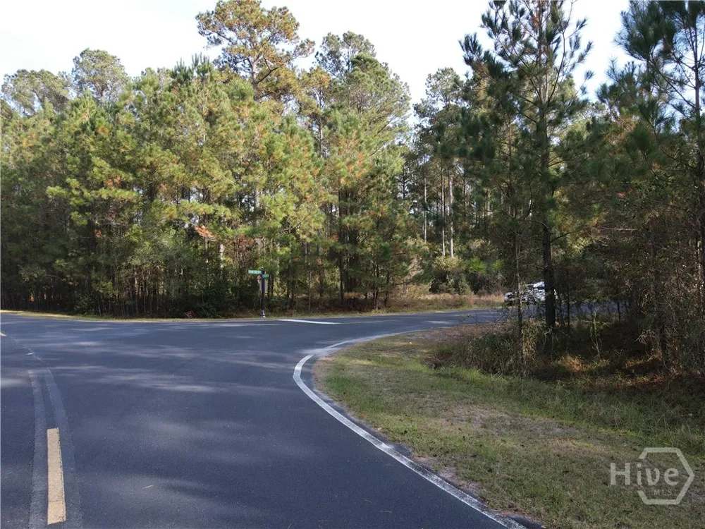 45 NE Marsh Way W Townsend, GA 31331
