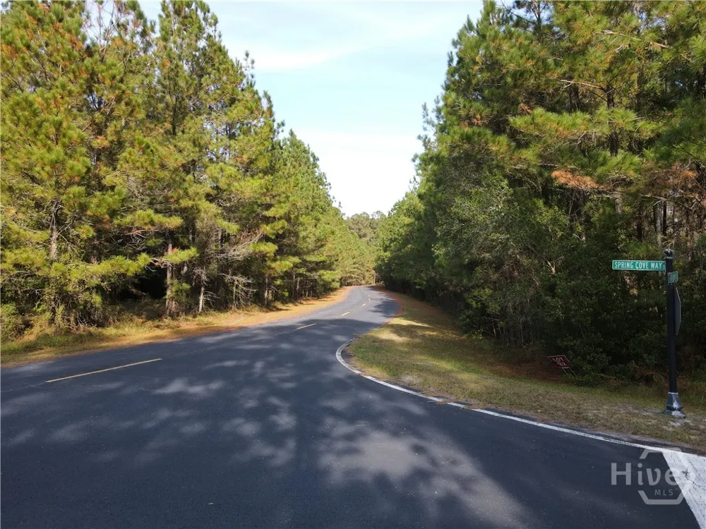 45 NE Marsh Way W Townsend, GA 31331