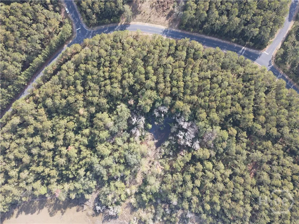 45 NE Marsh Way W Townsend, GA 31331