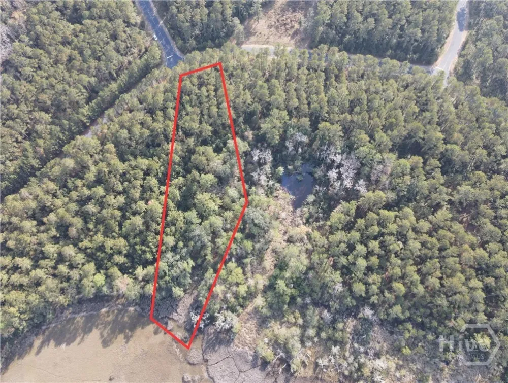 45 NE Marsh Way W Townsend, GA 31331