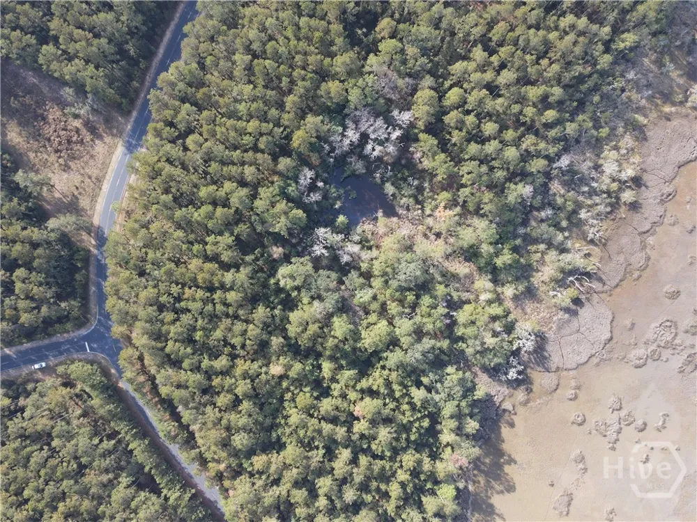 45 NE Marsh Way W Townsend, GA 31331