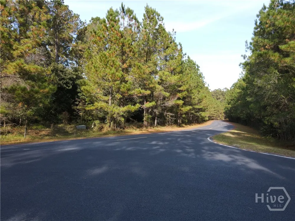 45 NE Marsh Way W Townsend, GA 31331