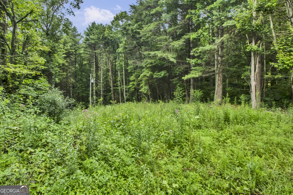 265 Holly Hill RD Suches, GA 30572