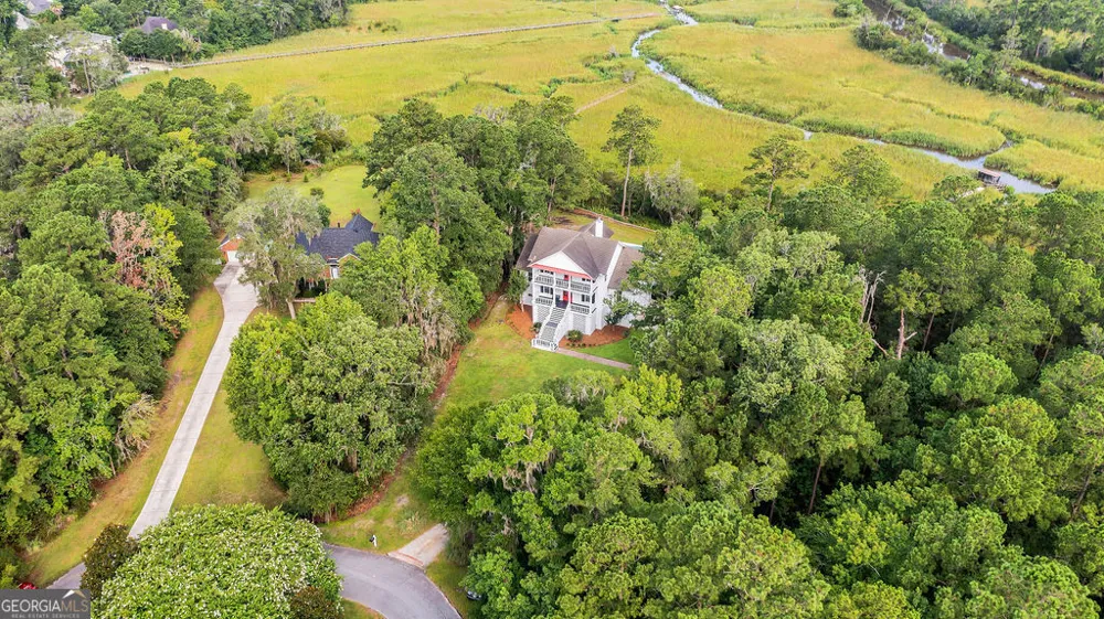 447 Sterling Woods DR Richmond Hill, GA 31324