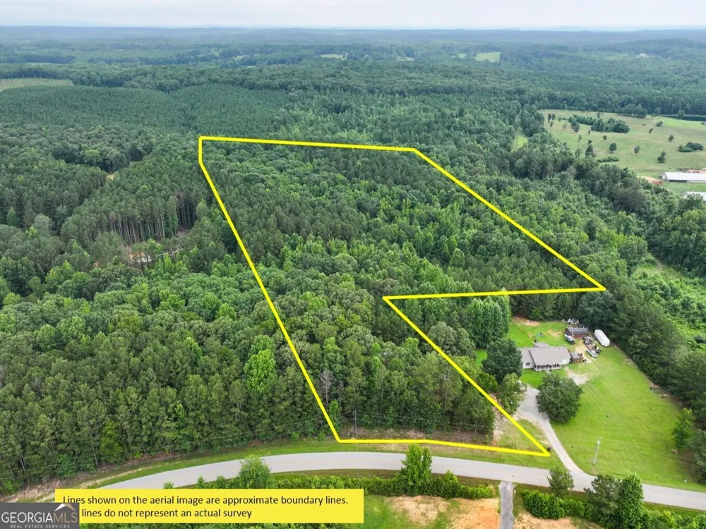 18 +/- Acres on Pope Lake RD Buchanan, GA 30113