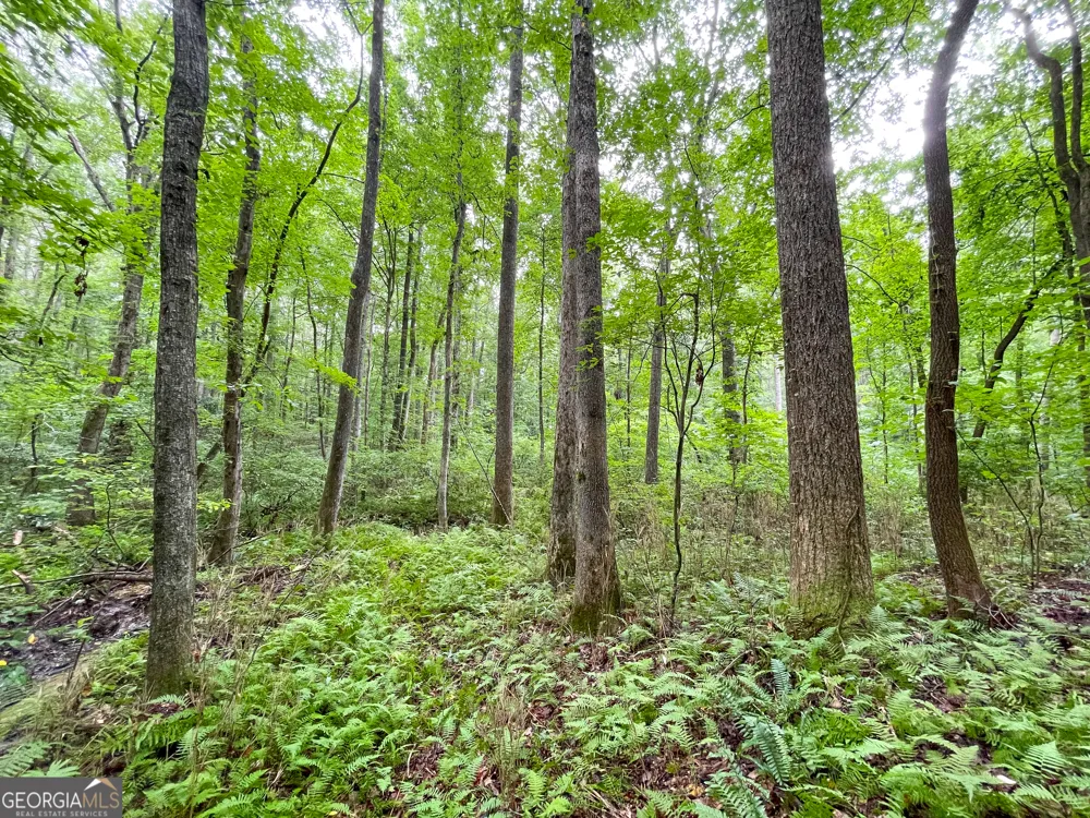 18 +/- Acres on Pope Lake RD Buchanan, GA 30113