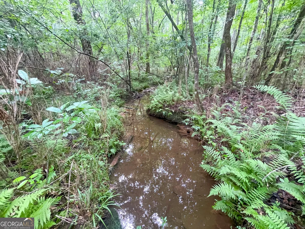 18 +/- Acres on Pope Lake RD Buchanan, GA 30113